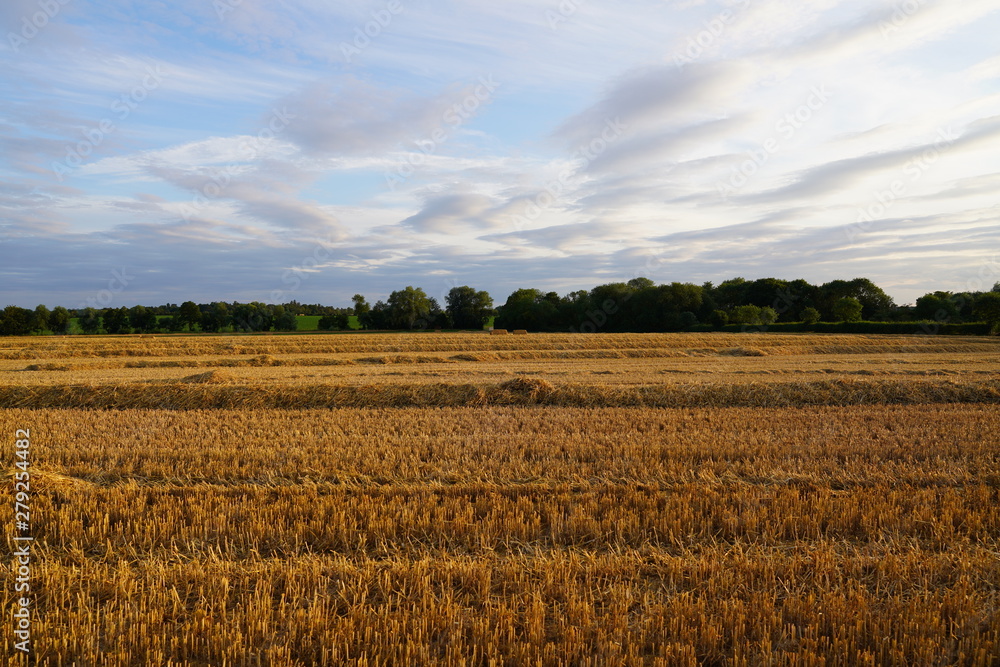 green landscape and blue sky with clouds