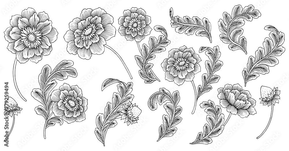 Paisley Style Elements : Set Paisley Style Elements : Set