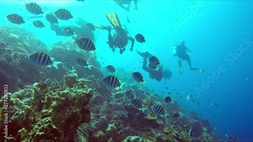 A divers regrouping at the reef. Divers exploring coral reef photo