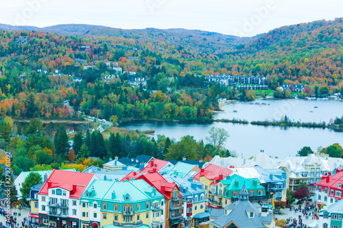 Beautiful maple forest, Mont-Tremblant, Quebec