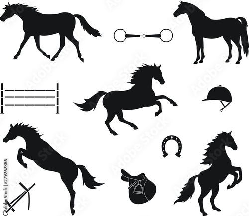 Vector set collection of black silhouette horse and equestrian equipment icon isolated on white background