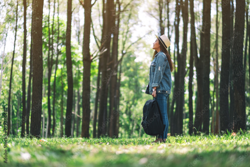 An asian female traveler with a hat and backpack looking into a beautiful pine woods An asian female traveler with a hat and backpack looking into a beautiful pine woods