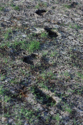 a foot print on drying land.