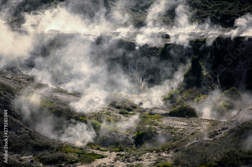 Mystic steam - Taupo