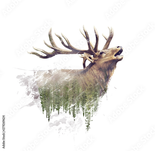 Deer and Forest. Watercolor Double Exposure effect on white background photo