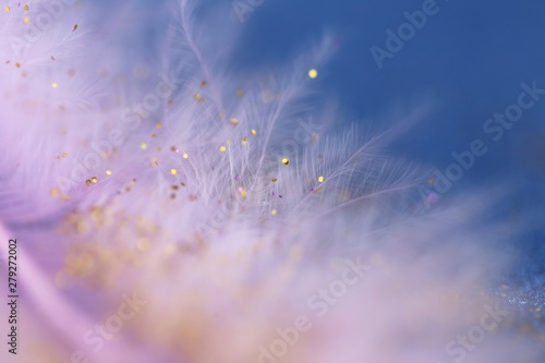 Feather macro background. Pink feather close-up texture with gold glitter on a blue background.Lightness and airiness.