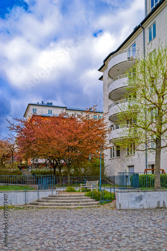 Modern apartment buildings with a blooming sakura tree in a green yard in Stockholm  Sweden.