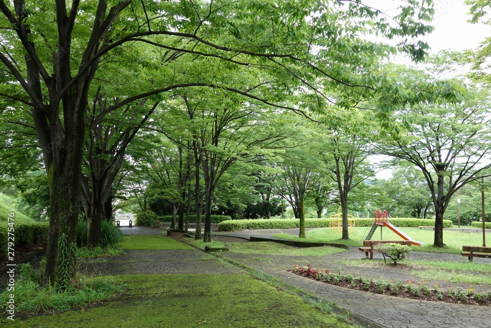 Obraz premium 公園