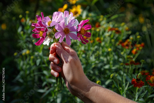 The girl's hand holds a small bouquet of beautiful fresh wild flowers of white, pink and purple.