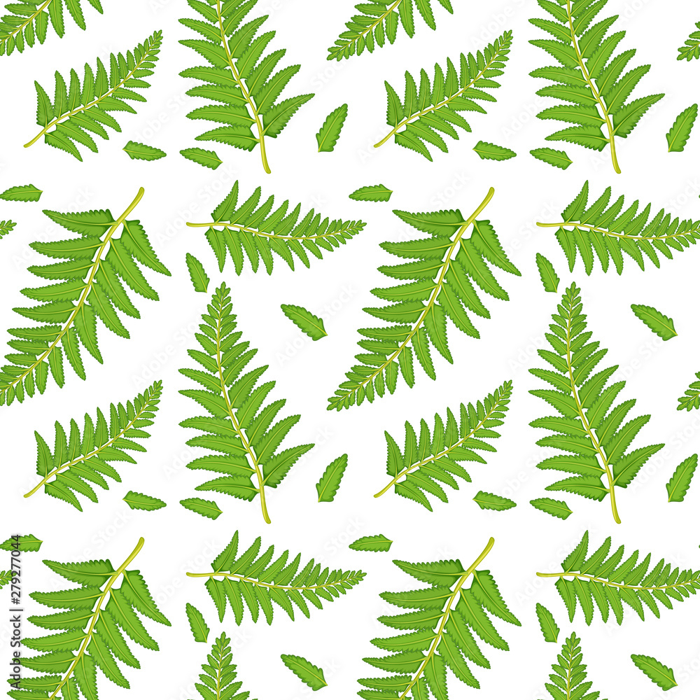 Seamless pattern tile cartoon with fern fronds