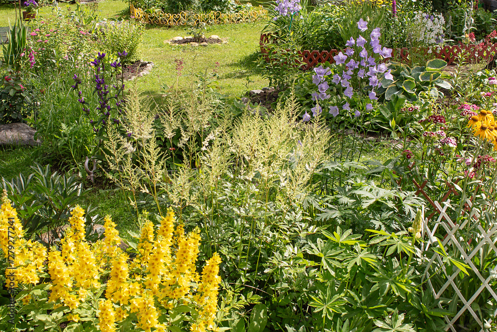 Fototapeta premium A large variety of perennial flowers in the garden area outside the city