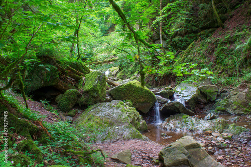 Lotenbach Gorge in Blach Forest, Germany