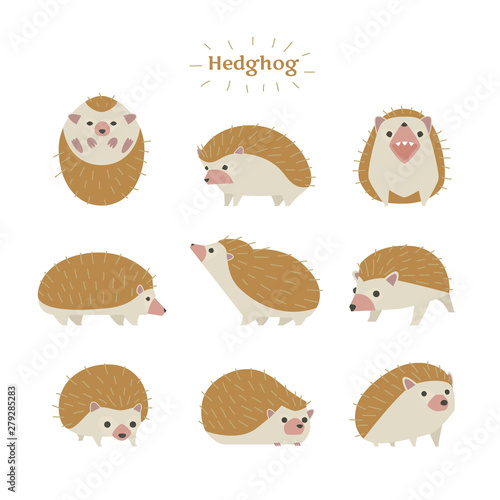 Hedgehogs in various poses. flat design style minimal vector illustration.