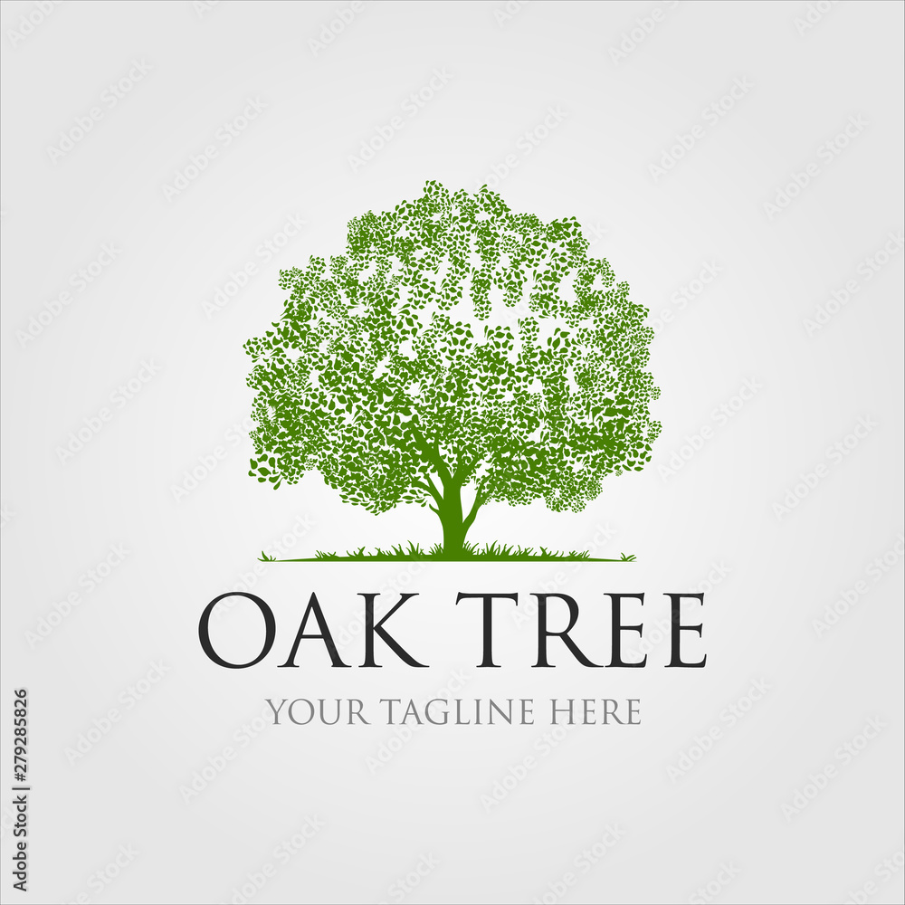 oak trees logo illustration design
