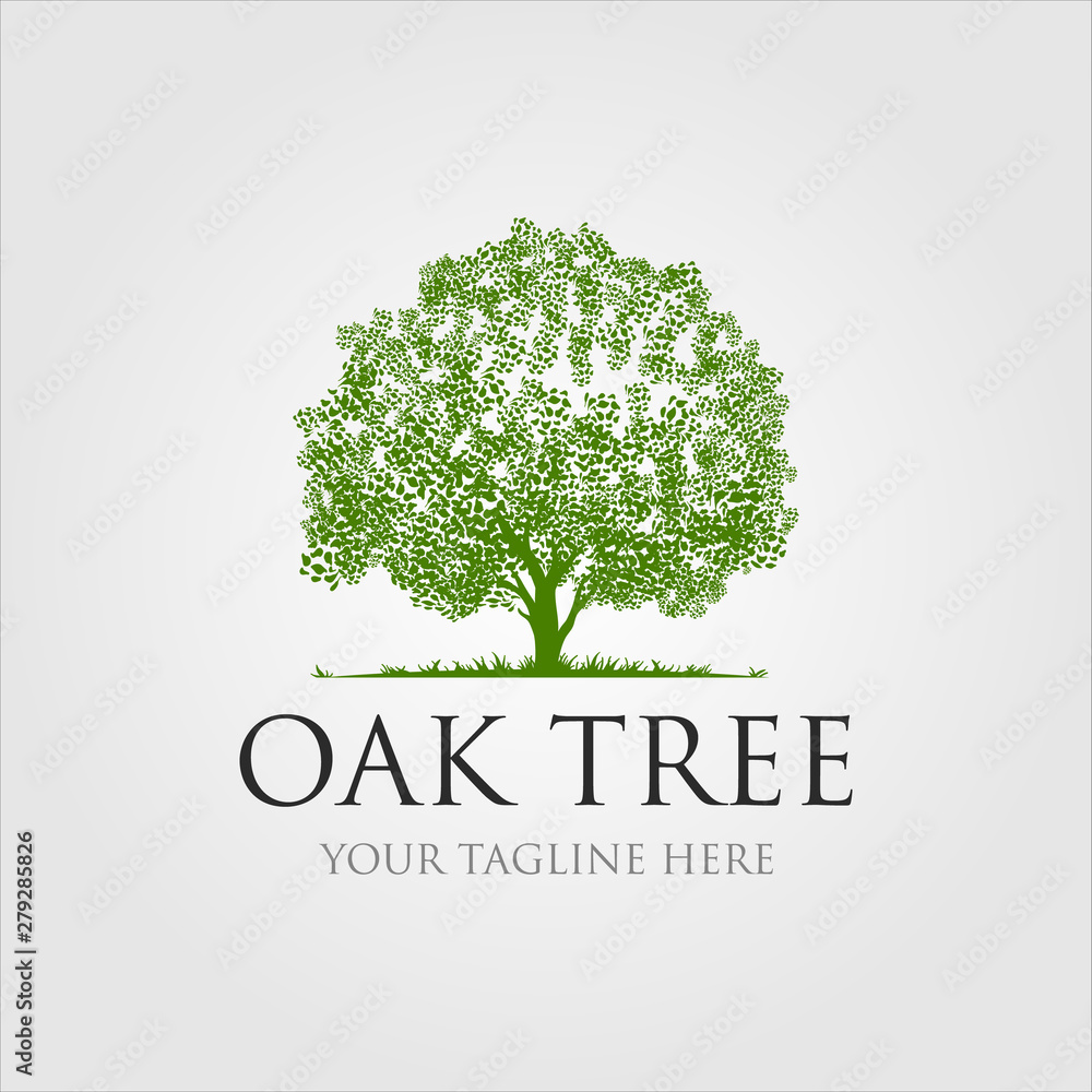 Obraz premium oak trees logo illustration design