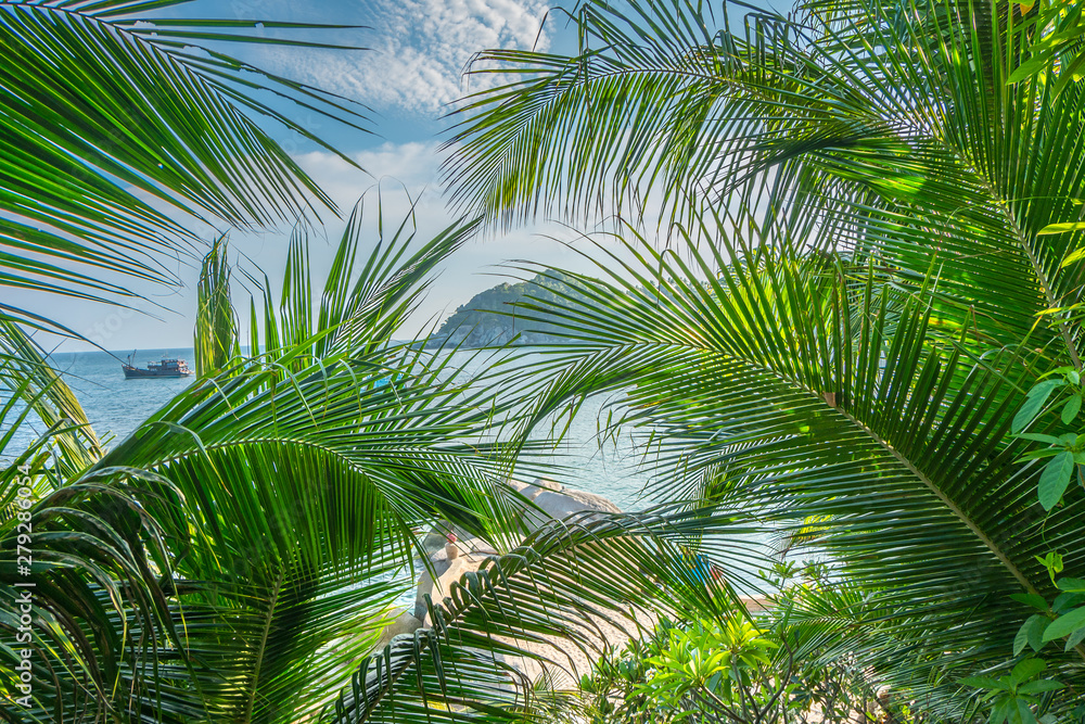 Fototapeta premium Beautiful tropical natural background with palms leaves and sun in the blue sky. Travel concept