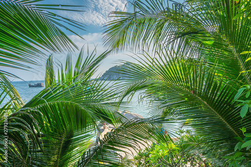 Beautiful tropical natural background with palms leaves and sun in the blue sky. Travel concept
