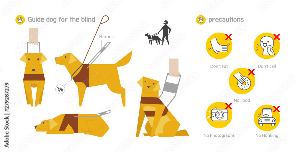 Golden retriever top blind guide dog