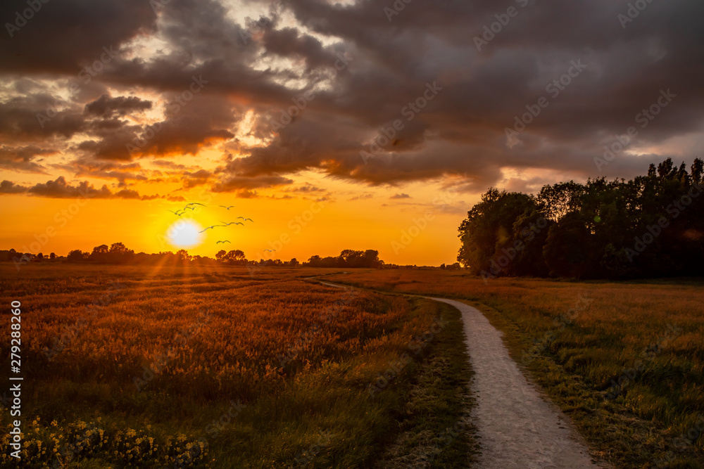 spring time sunrise behind the field with silhouette birds