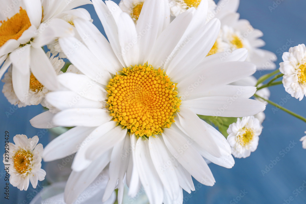 Fototapeta premium Bouquet of beautiful chamomile flowers, closeup
