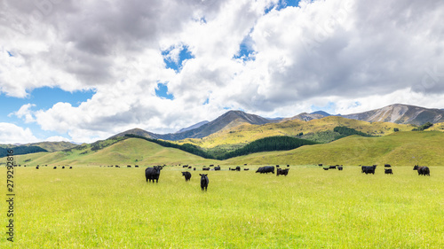 lush landscape with cows