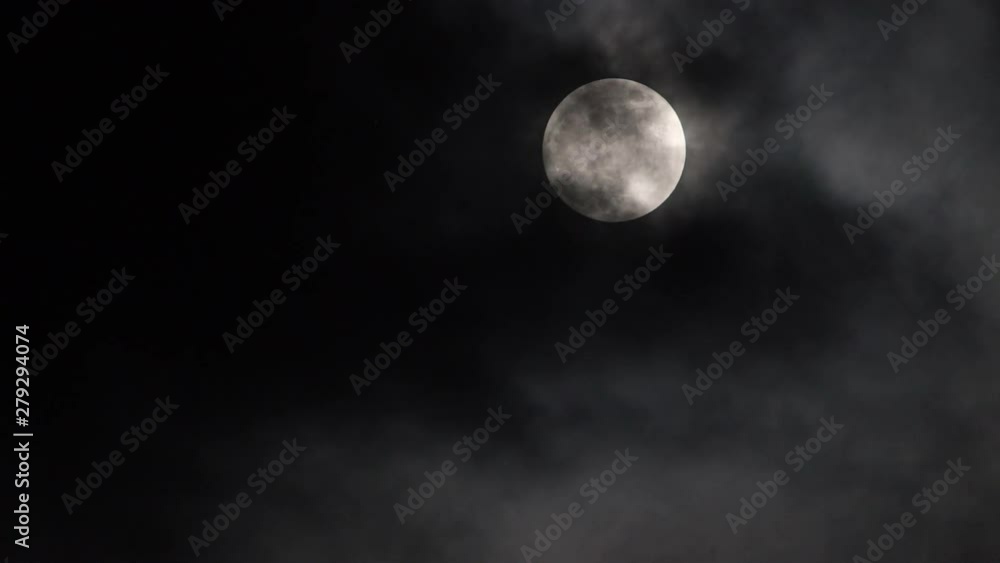 Full moon behind clouds and bird fly Full moon behind clouds and bird fly