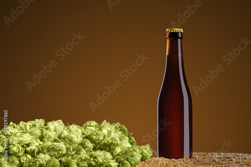  Brown beer bottle with reflections that stands  on wheat and cone of hop on a umber studio background.