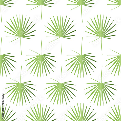 Tropical composition with palm leaves. Vector illustration with a repeating pattern. Seamless and floral background. Green Fan Palm on isolated white backdrop. Trendy printing leaf composition. 