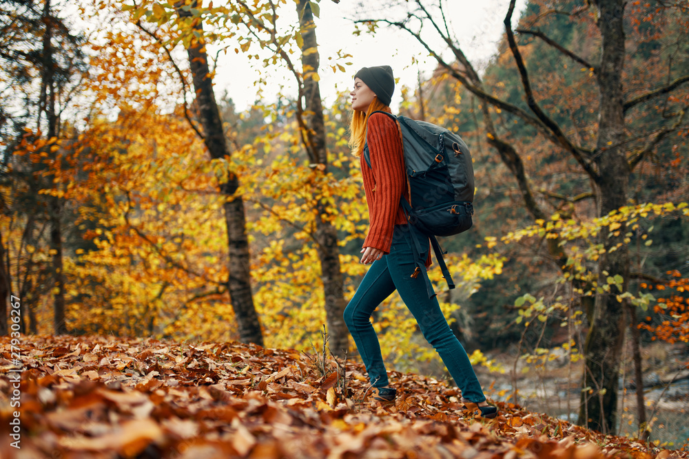 young woman in autumn park young woman in autumn park