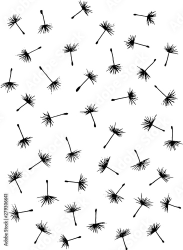 Flying Dandelion seeds, line art, hand drawn, high resolution. Isolated in white