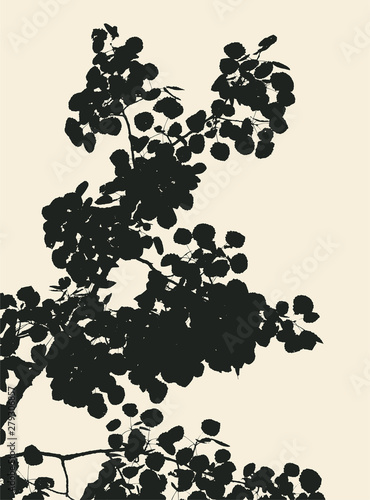 Silhouette of a birch branch with foliage. Vector Illustration