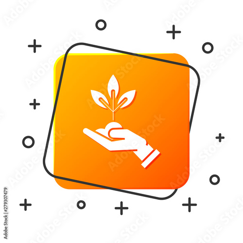 White Plant in hand of environmental protection icon isolated on white background. Seed and seedling. Planting sapling. Ecology concept. Orange square button. Vector Illustration