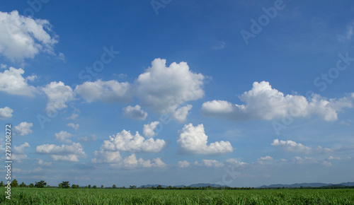 landscape with blue sky and clouds