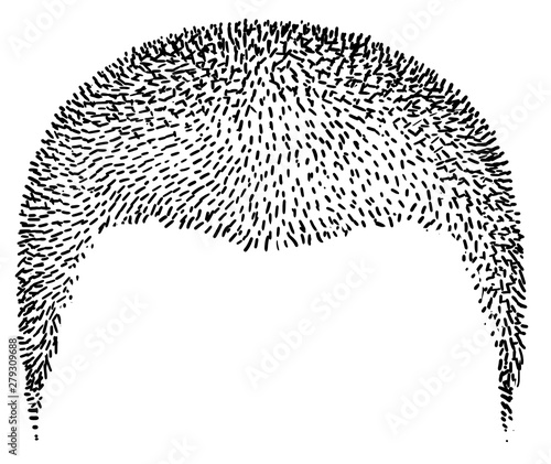 Trendy hairstyle illustration, drawing, engraving, ink, line art, vector