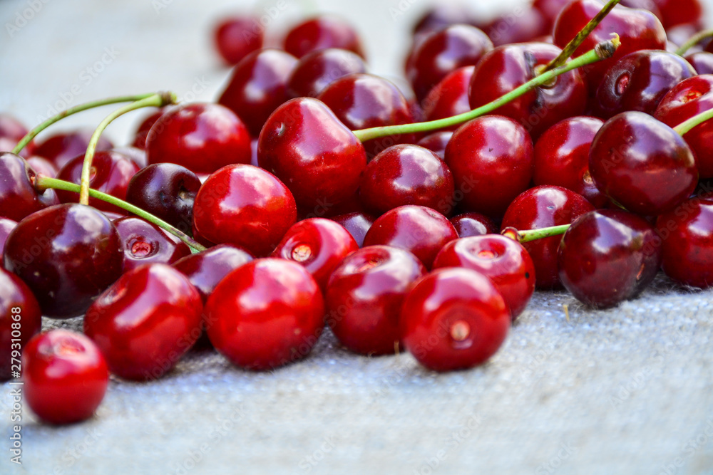 Closeup of a bunch of wet ripe cherry farm Closeup of a bunch of wet ripe cherry farm