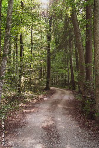 Waldweg