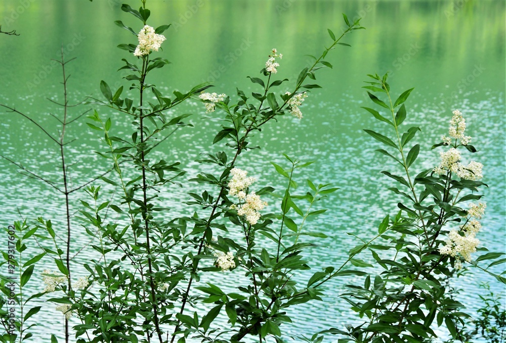 Frillensee Frillensee