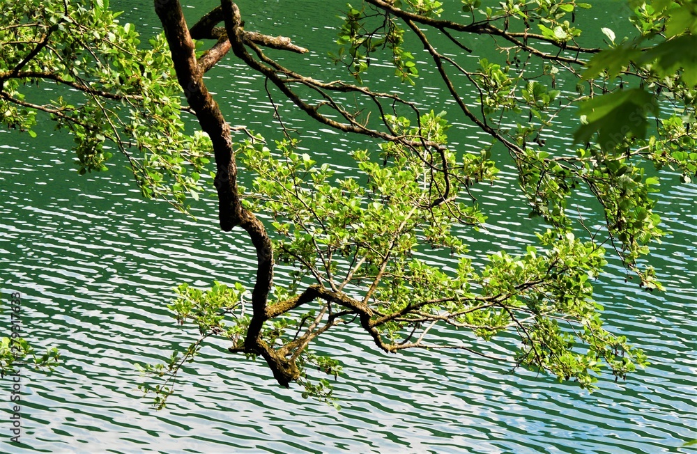 Fototapeta premium Thumsee
