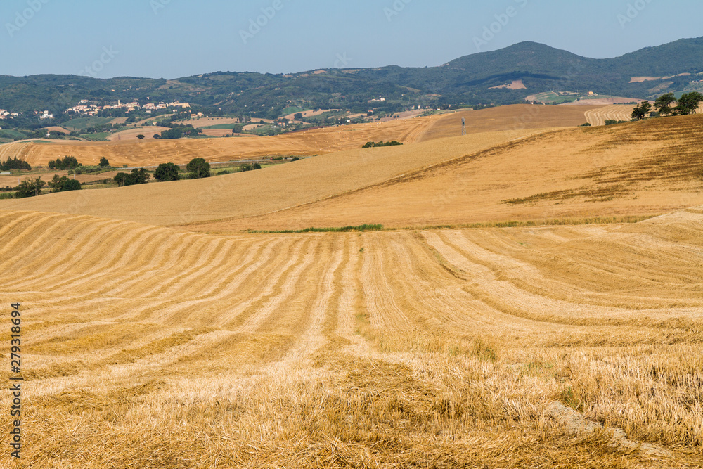Hills immersed in the beautiful Tuscan countryside
