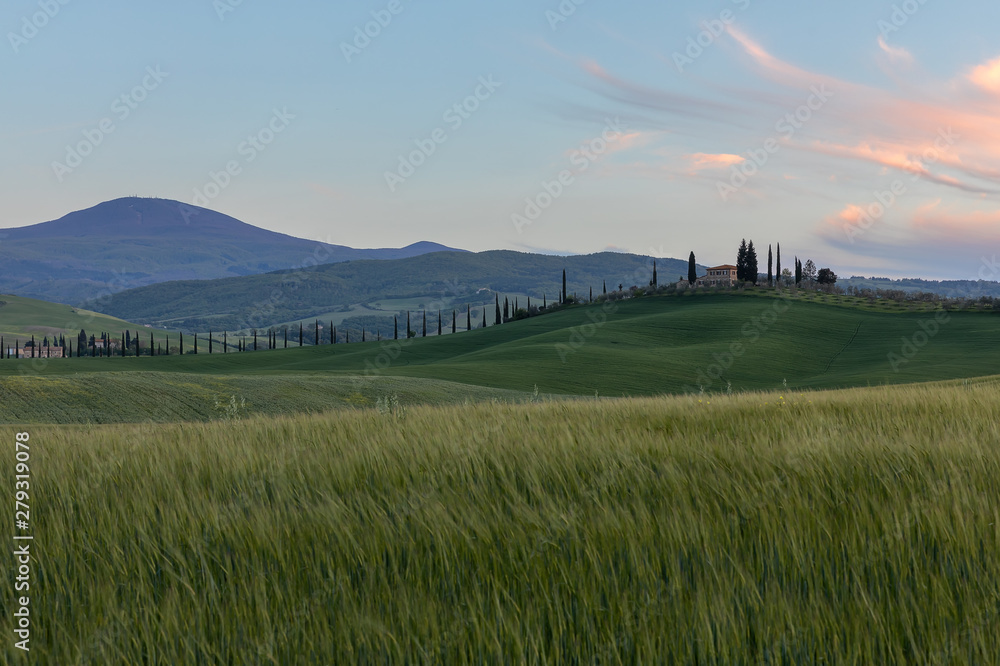 Fototapeta premium Geheimtip in der südlichen Toskana - San Quirico d'Orcia