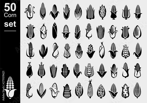 Corn set. Collection icon corn. Vector