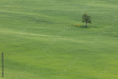 Siena - Das Herzstück der Toskana