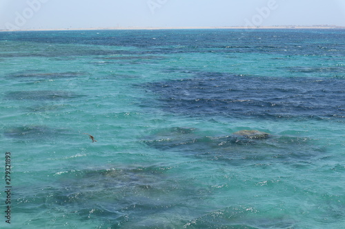 Fotografia türkis blaues Wasser vom Roten Meer