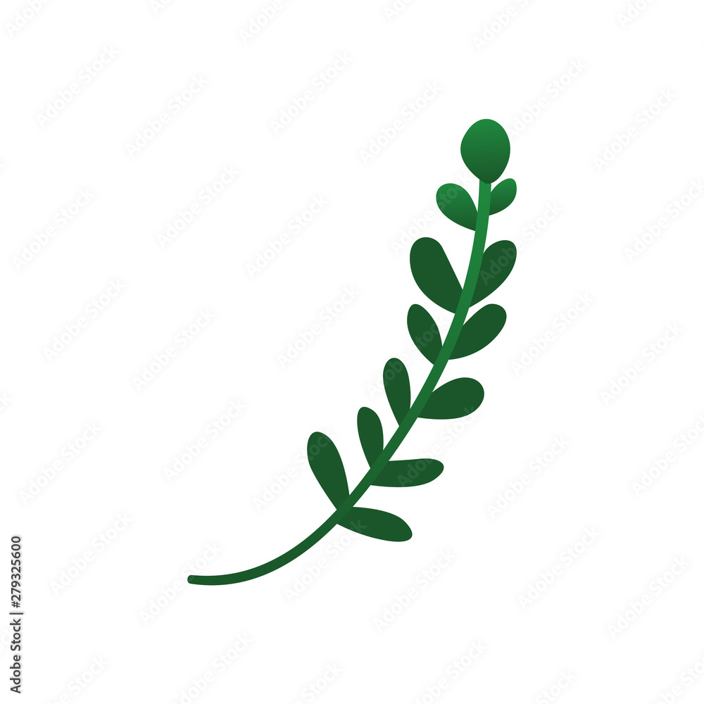Cute green plant twig with round leaves