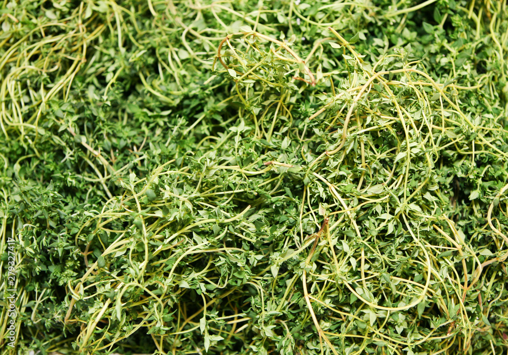 Large pile of thyme herb Large pile of thyme herb