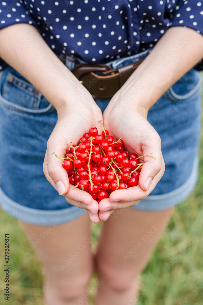 Hands holding fresh berries, Ripe red currant, juicy fruit Hands holding fresh berries, Ripe red currant, juicy fruit