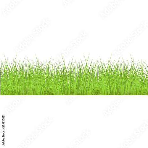 Vector green grass border for summer landscape