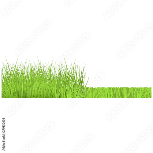 Vector green grass border for summer landscape