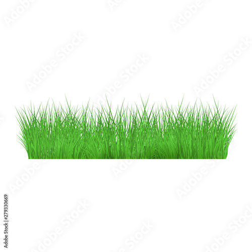 Summer, spring green grass and lawn border on isolated background in realistic style.