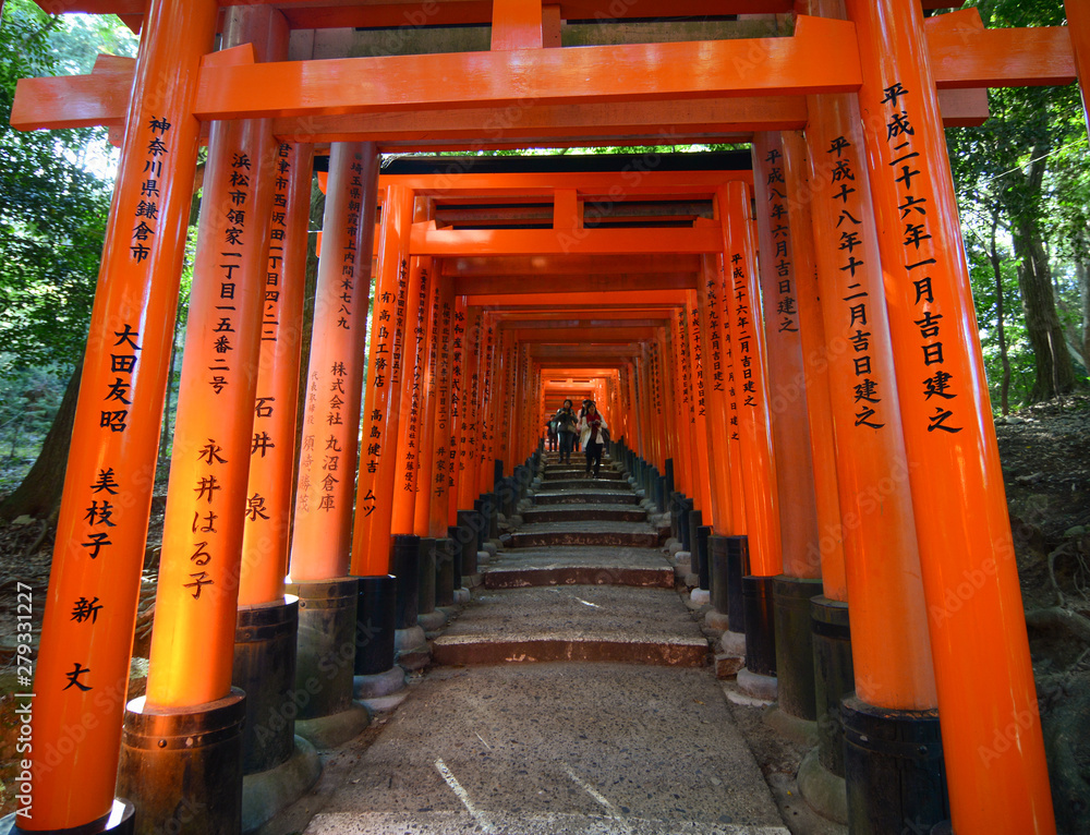 Torii gates at Fushimi Inari Shrine in Kyoto, Japan Torii gates at Fushimi Inari Shrine in Kyoto, Japan